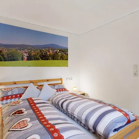 Gemütliches 3-sterne Apartment Zwiesel